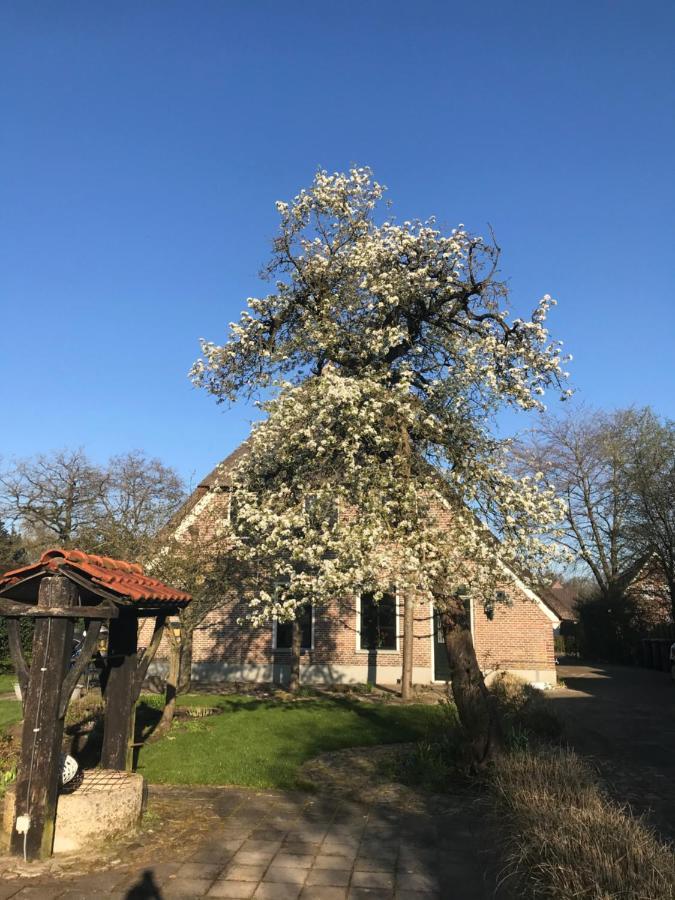 Appartement "In De Wolken" In Gees Exteriör bild